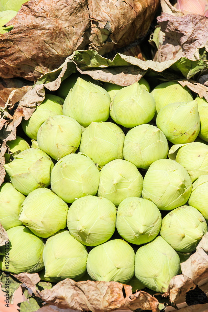White lotus selling in the market