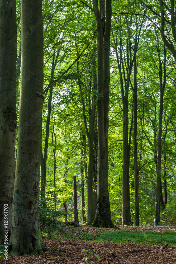 Herbst in Mecklenburg