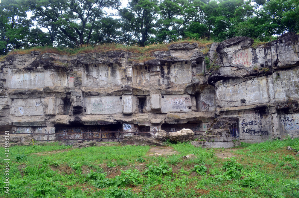 Fototapeta premium fort 