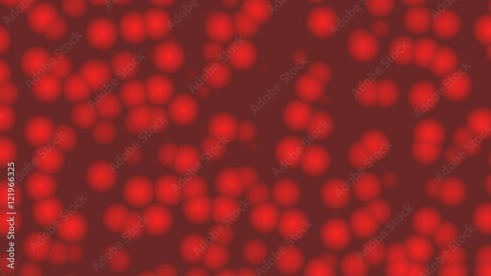 cellule di sangue