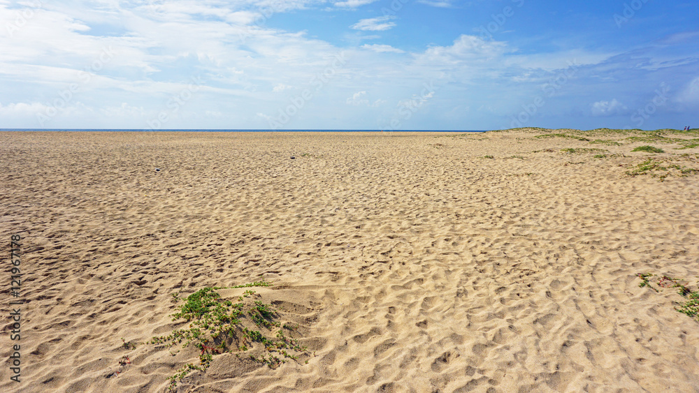 sand dunes sand dunes