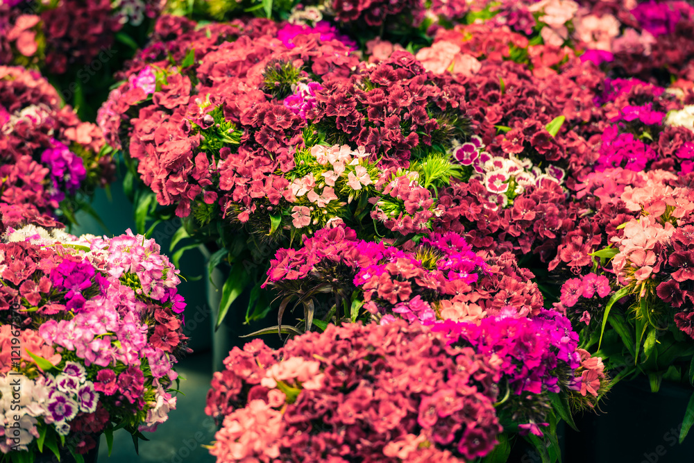 Beautiful carnation flowers at an european market