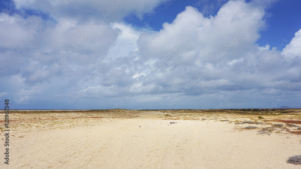 sand dunes