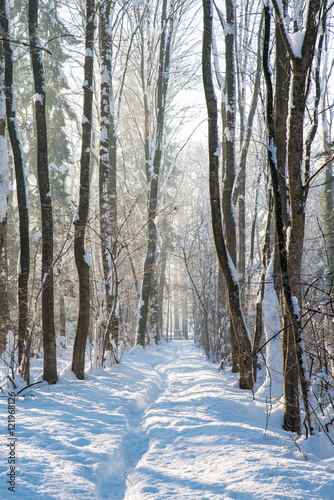 Winter Landscape © pic3d