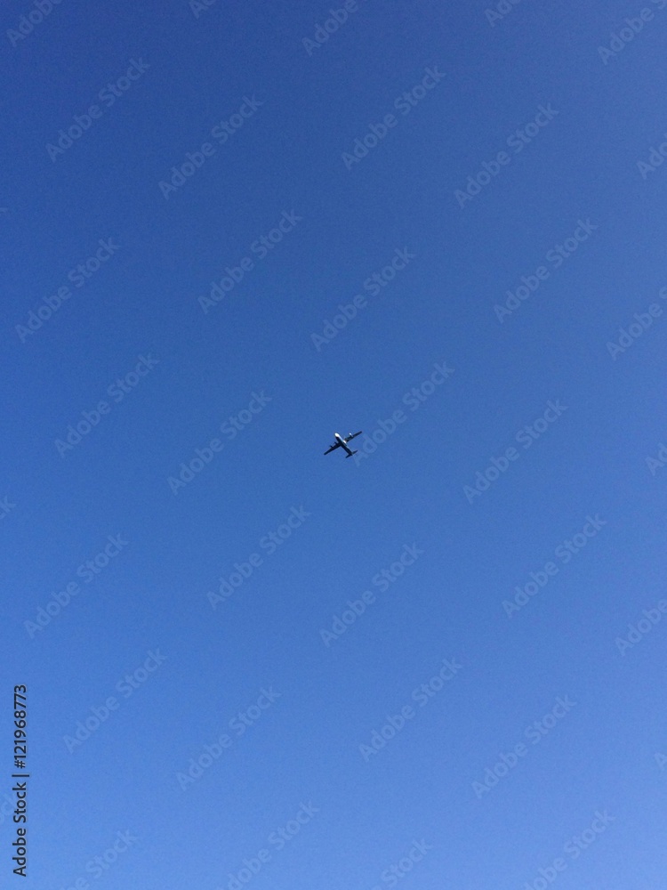 Airplane in the sky