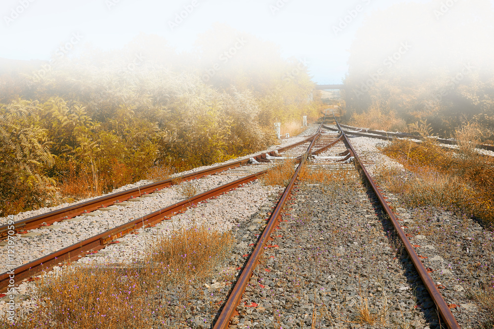 Obraz premium Railway Tracks in the Fog