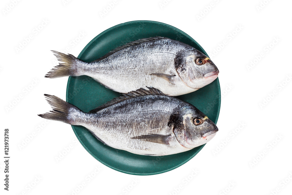 Raw dorado fish on green plate isolated over white background. Top view, copy space Raw dorado fish on green plate isolated over white background. Top view, copy space