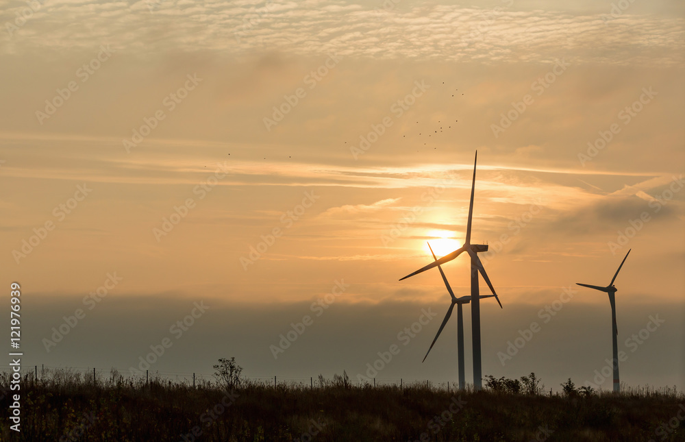 Eco power, wind turbines in the countryside Eco power, wind turbines in the countryside