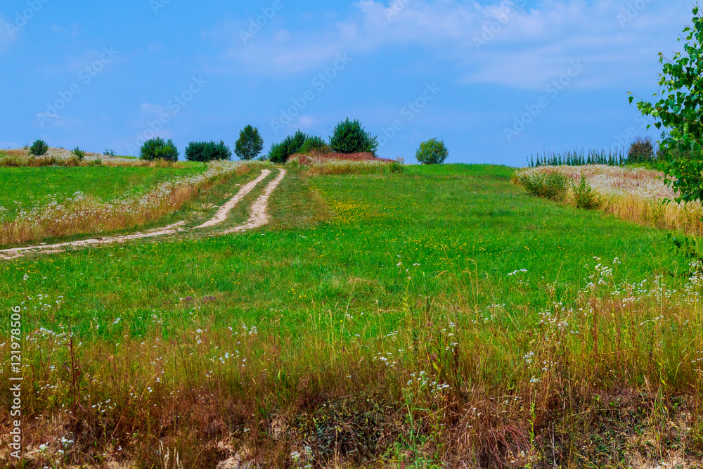 Rural road in latvian landscape.