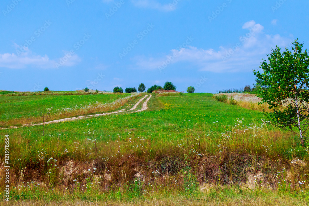 Rural road in latvian landscape.
