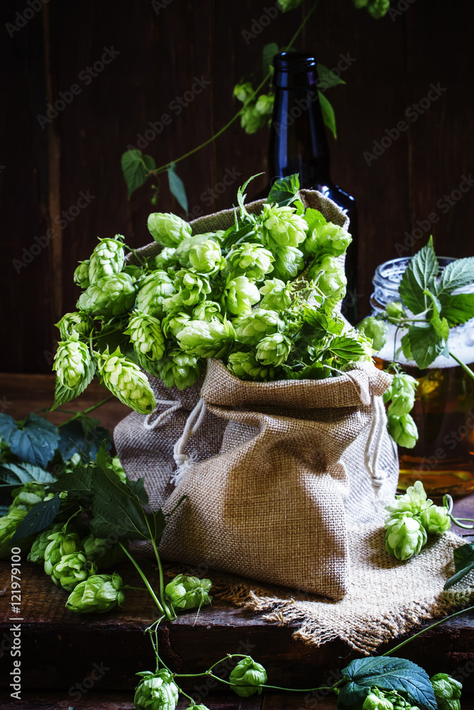 Hops in canvas bags, selective focus
