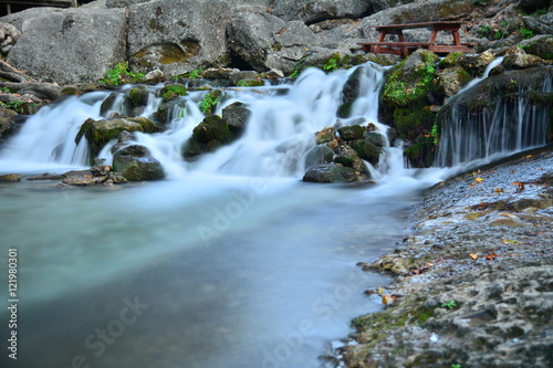 yosunlar arasından photo