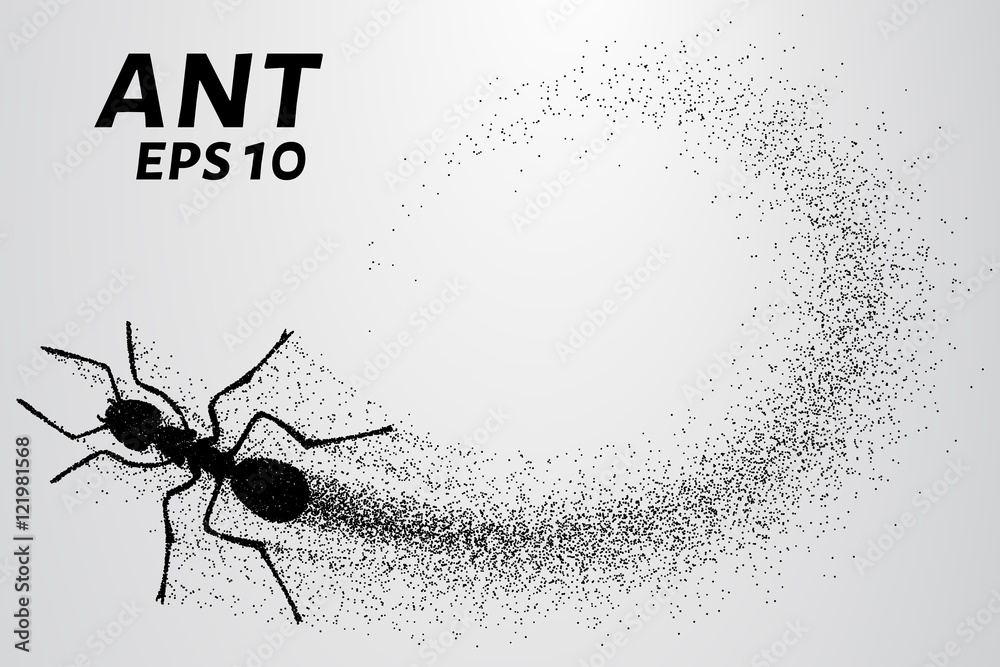 Ant of the particles. The ant consists of small circles. Vector illustration