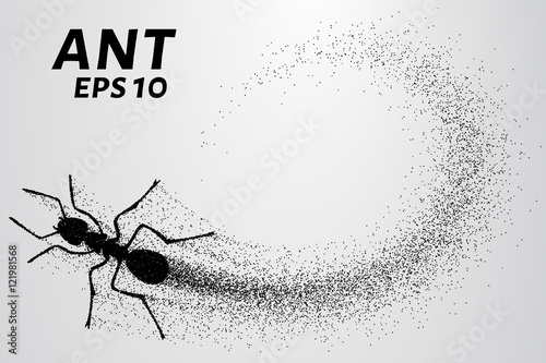 Ant of the particles. The ant consists of small circles. Vector illustration