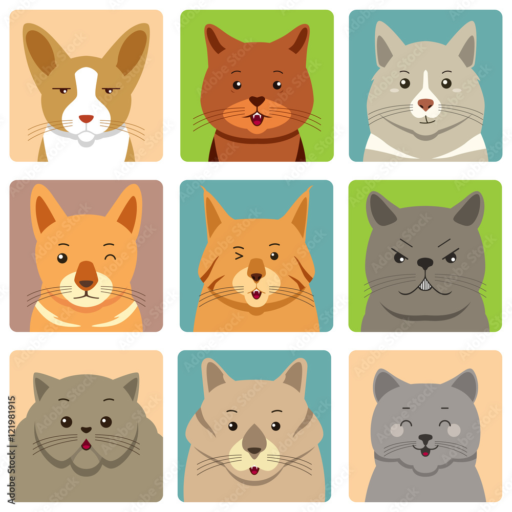 Different Cats Avatars and Expression