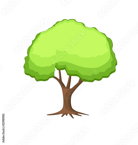 Tree Vector