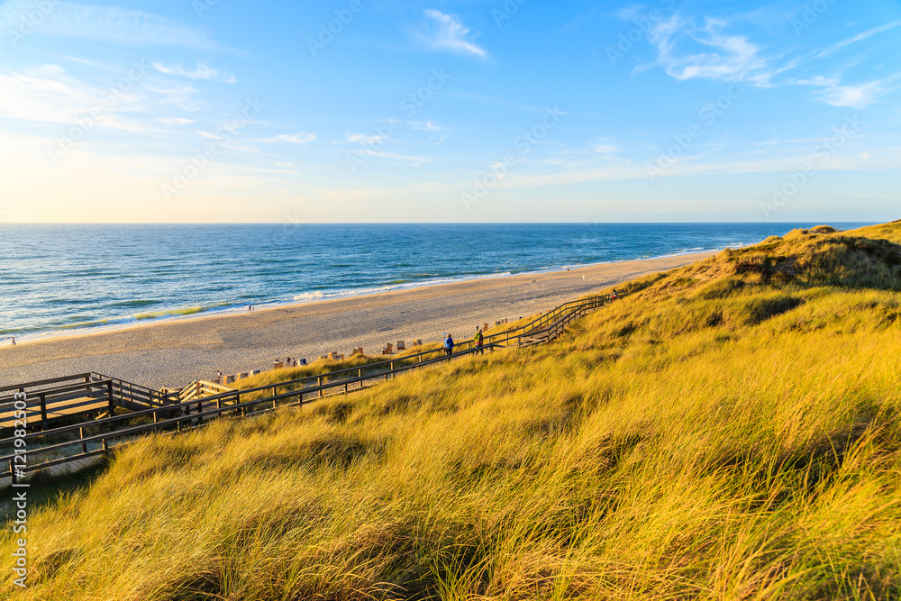 Golden grass on sand dune and view of beach at sunset time, Sylt island, Germany