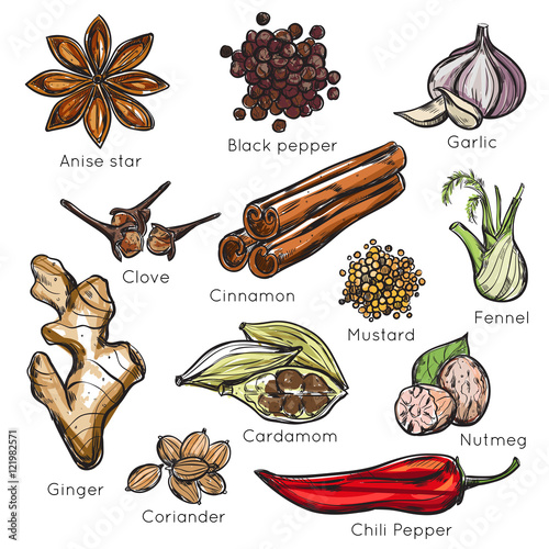Indian Spices Herbs Icon Set