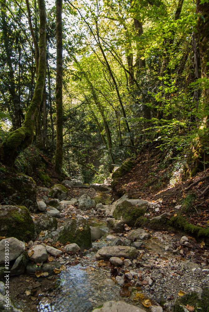 Fototapeta premium Autumn in Savoy