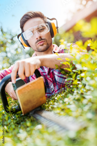 Hedge trimming,works in a garden. photo