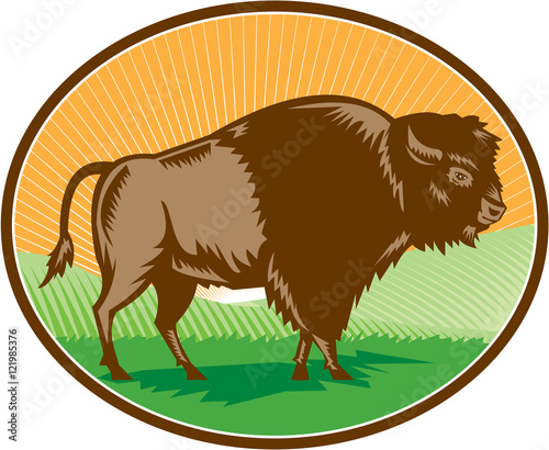 American Bison Oval Woodcut