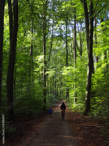 Radfahren im Wald, Deutschland