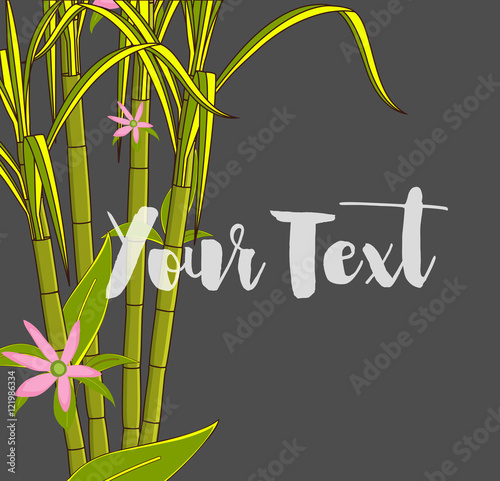Flowers Blooming on Sugarcane