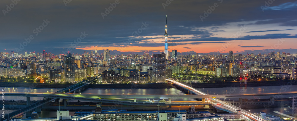 Naklejka premium Tokyo city view with Tokyo sky tree landmark..