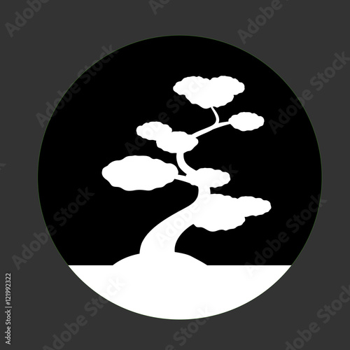 White Shapes Bonsai Isolated on Dark Background