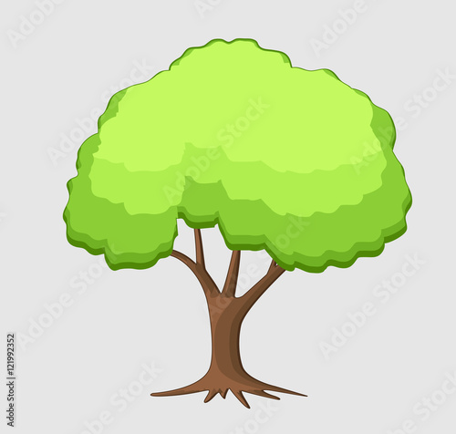Pine Bonsai Vector