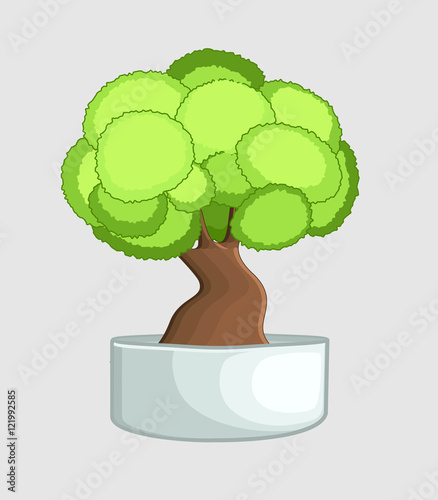 Bonsai Tree in Vase