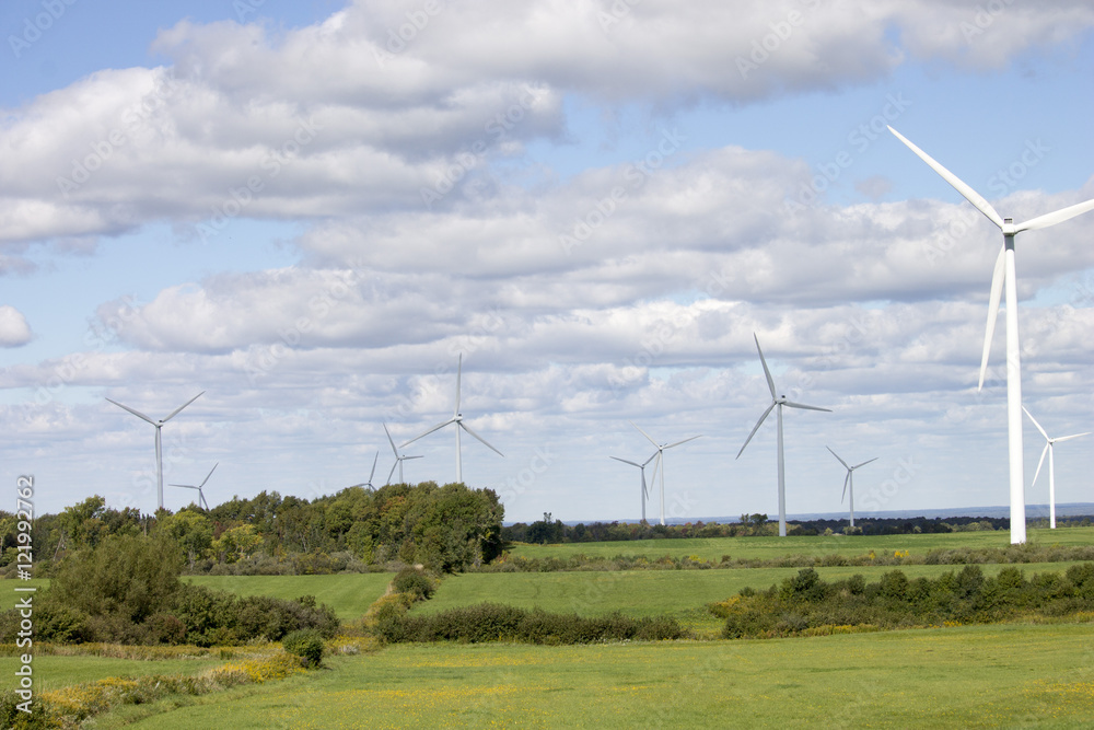 Field of Windmills Field of Windmills
