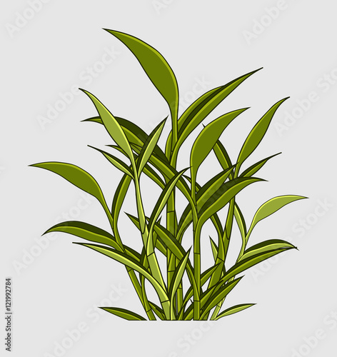 Fresh Green Leaves Vector Elements