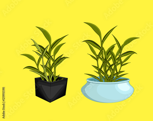 Houseplant Bamboo Pot