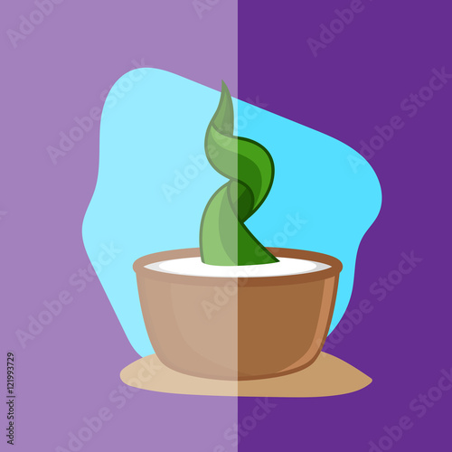 Spiral Green Cactus Plant Vector