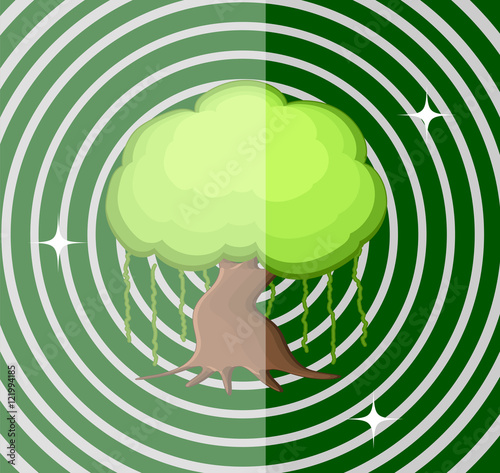 Bonsai Tree Vector