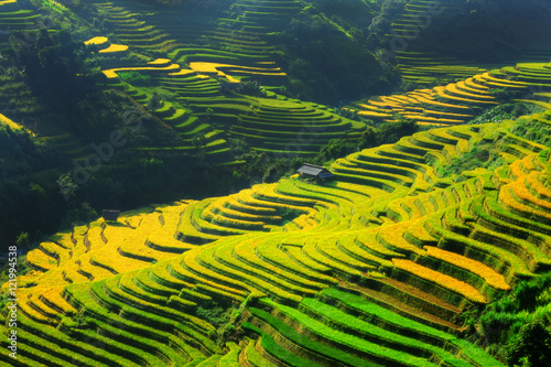 Rice fields on terraced of Mu Cang Chai, YenBai, Vietnam. Rice fields prepare the harvest at Northwest Vietnam.Vietnam landscapes. 