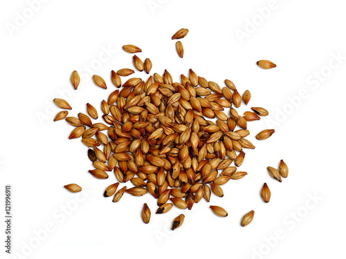 Malted and Roasted Barley on White Background