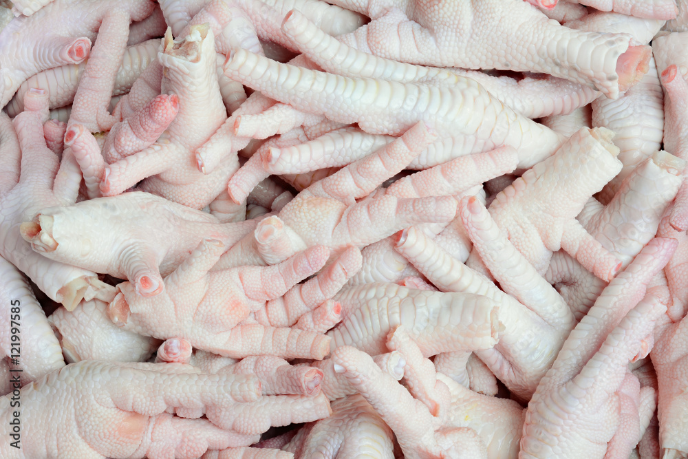 Uncooked chicken feet for food background