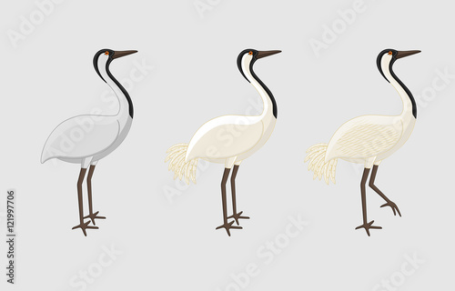 Lucky Crane Birds Vector Illustration
