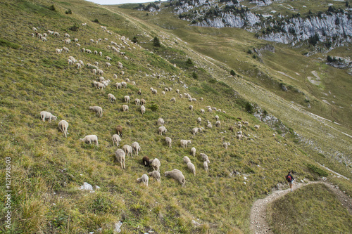 Massif de la Chartreuse - Lances de Malissard. photo