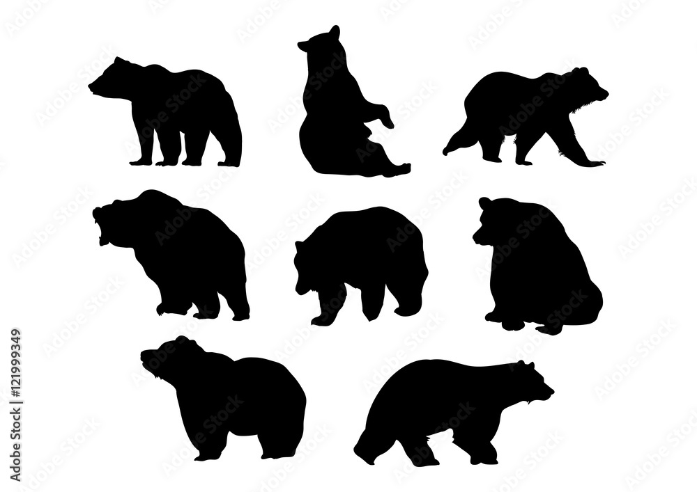 Obraz premium Bear - Silhouette Bear Premium Pack 