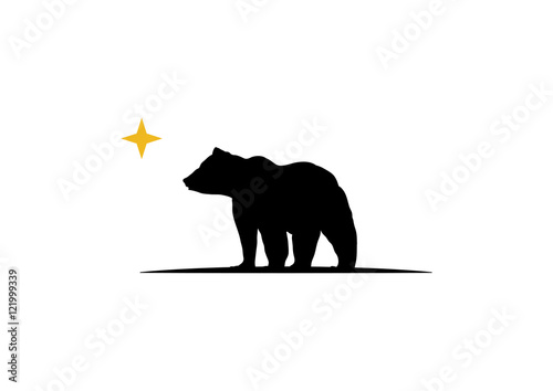 Bear -  Star