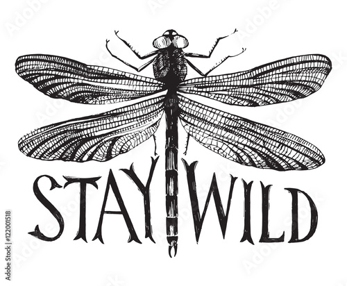 Black dragonfly with hand drawn lettering