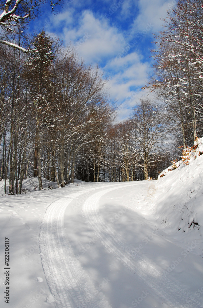 Winter in mountains Winter in mountains