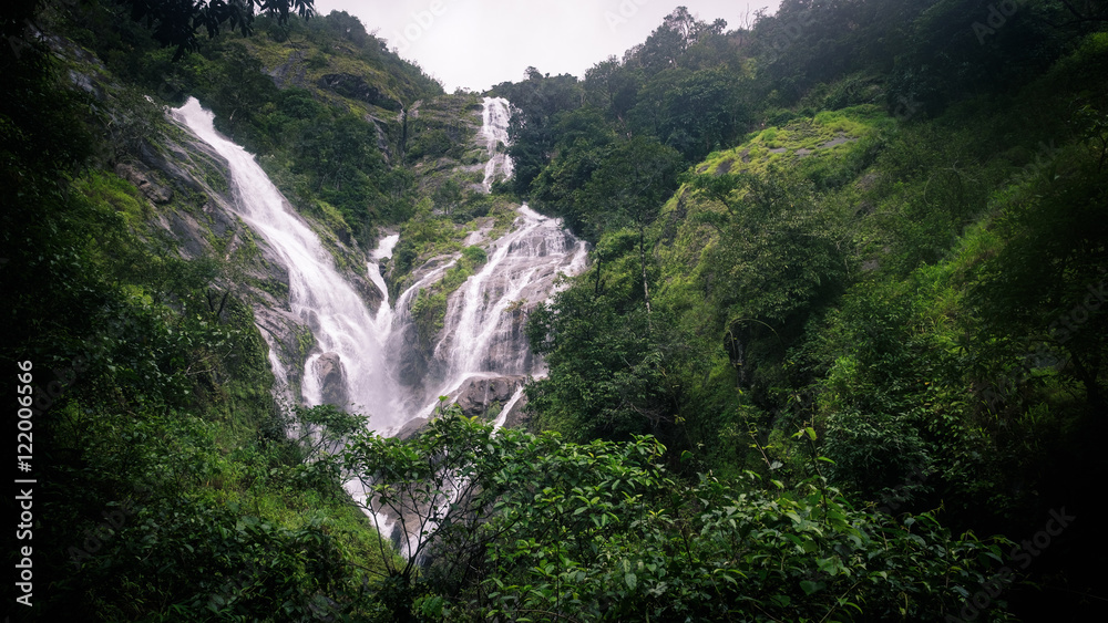 Fototapeta premium waterfall