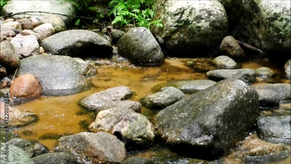 Closeup of forest stream, Tropical rainforest in Thailand Closeup of forest stream, Tropical rainforest in Thailand