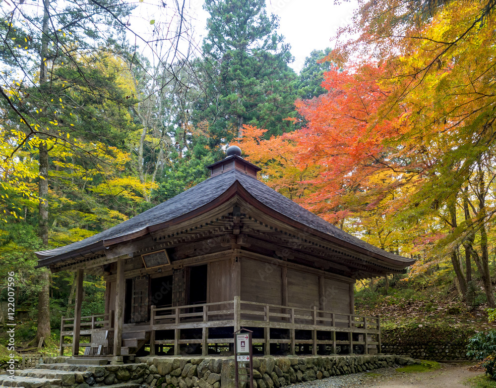 世界遺産 平泉 中尊寺の紅葉 世界遺産 平泉 中尊寺の紅葉