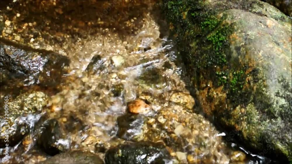 Closeup of forest stream, Tropical rainforest in Thailand Closeup of forest stream, Tropical rainforest in Thailand