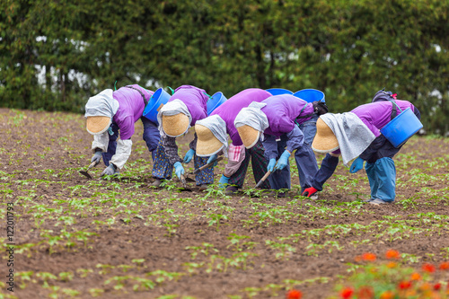 Women of the Field photo